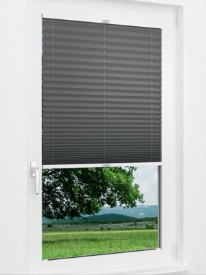 Preview Plissee Basic Comfort 01.63.12 1