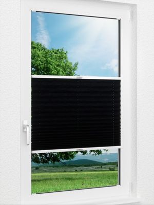 Plissee Crush Glanz 12.59.11 Fensteransicht