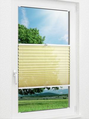 Plissee Pour 32.10.12 Fensteransicht