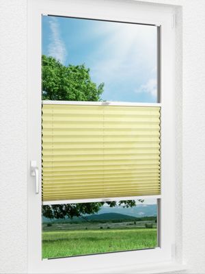 Plissee Pastel Shades 97.52.12 Fensteransicht