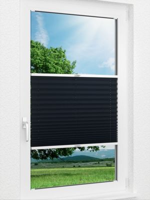 Plissee Basic Comfort 42.59.14 Fensteransicht