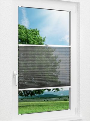 Plissee Zetes 97.03.12 Fensteransicht