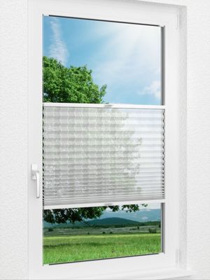 Plissee Zetes 97.05.12 Fensteransicht