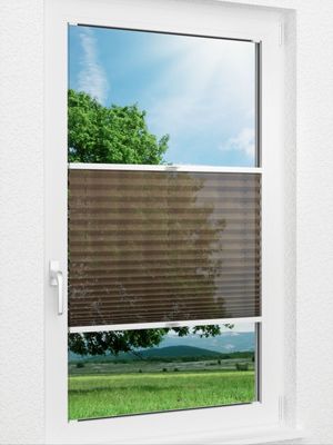 Plissee Vanity 61.01.12 Fensteransicht