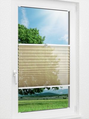 Plissee Vanity 61.03.12 Fensteransicht