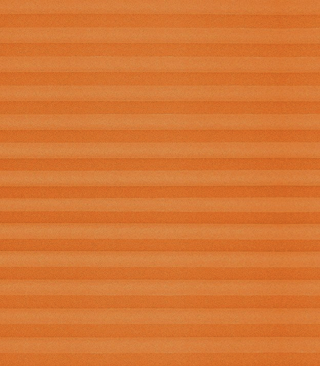 Detailansicht Plissee Basic B1 02.01.10