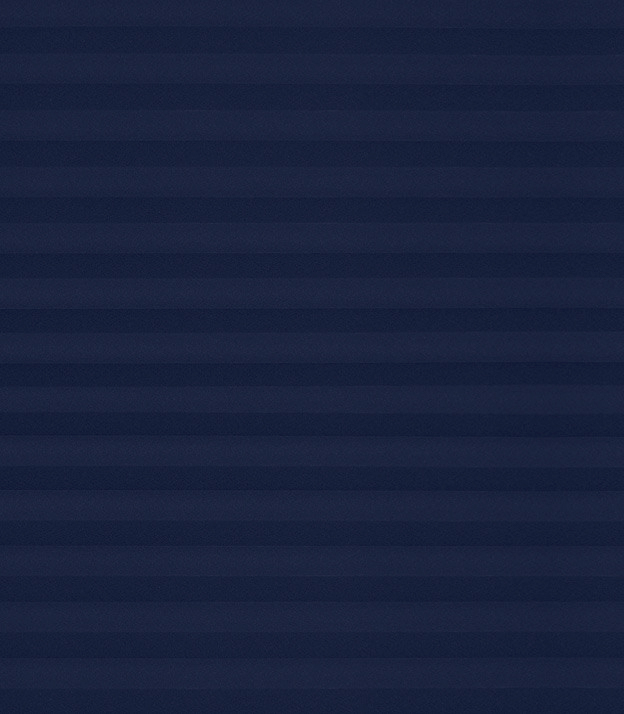 Detailansicht Plissee Basic B1 04.02.10