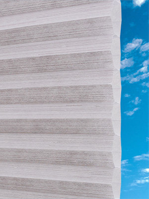 Wabe Canyonlands 50.54.14 Detailansicht