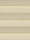 Castanza 81.866