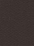 Stoff Brown 52.62d
