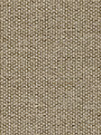 Sangara 11.72d Detailansicht