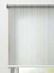 Rollo Maquee 11.513 Fensteransicht
