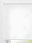 Rollo Soft Leaves 01.833 Fensteransicht