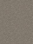 Rollo Murica Basic 84.02 Detailansicht