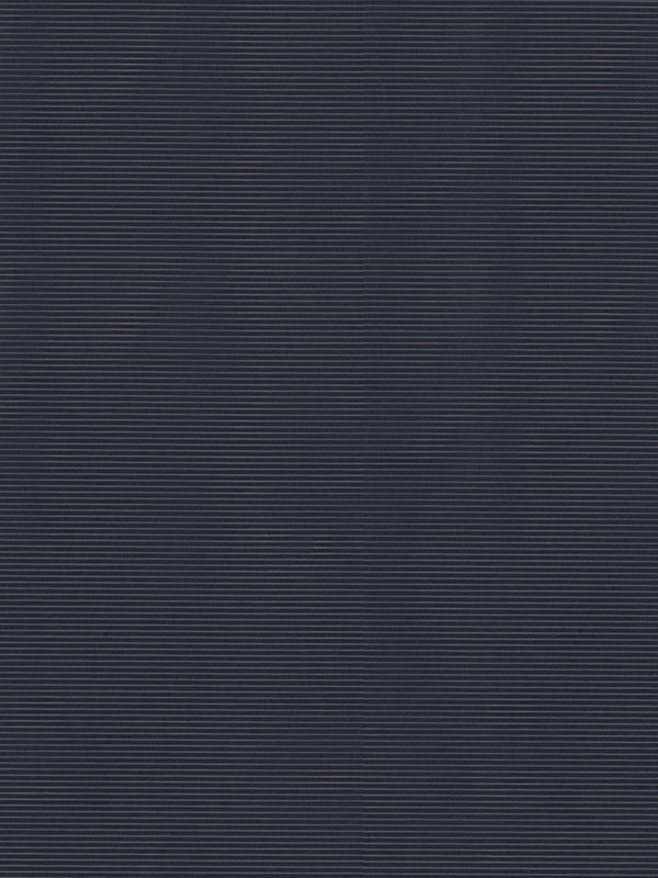 Detailansicht Rollo Trans Stripe 40.010