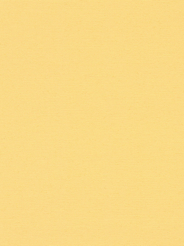 Detailansicht Rollo Julia 42.040