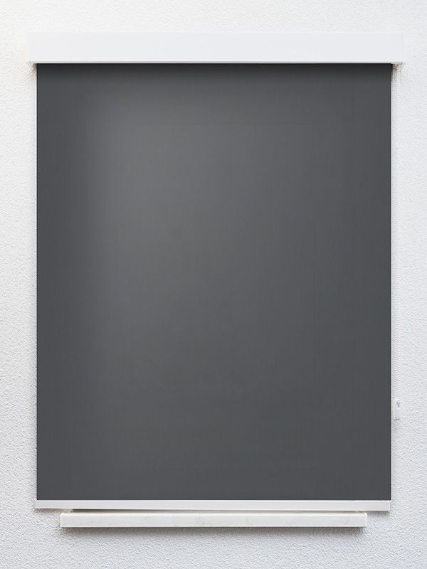 Detailansicht Rollo Life Reflection 40.421