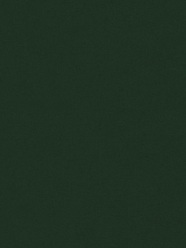 Detailansicht Verdunkelungsrollo Life Dark 78.241
