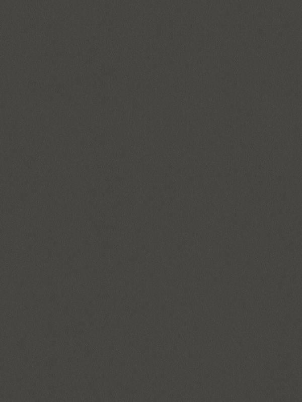 Detailansicht VD Rollo Privatex Dark 30.151