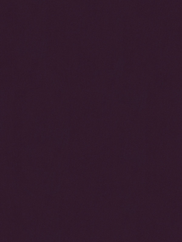 Detailansicht VD Rollo Privatex Dark 25.151