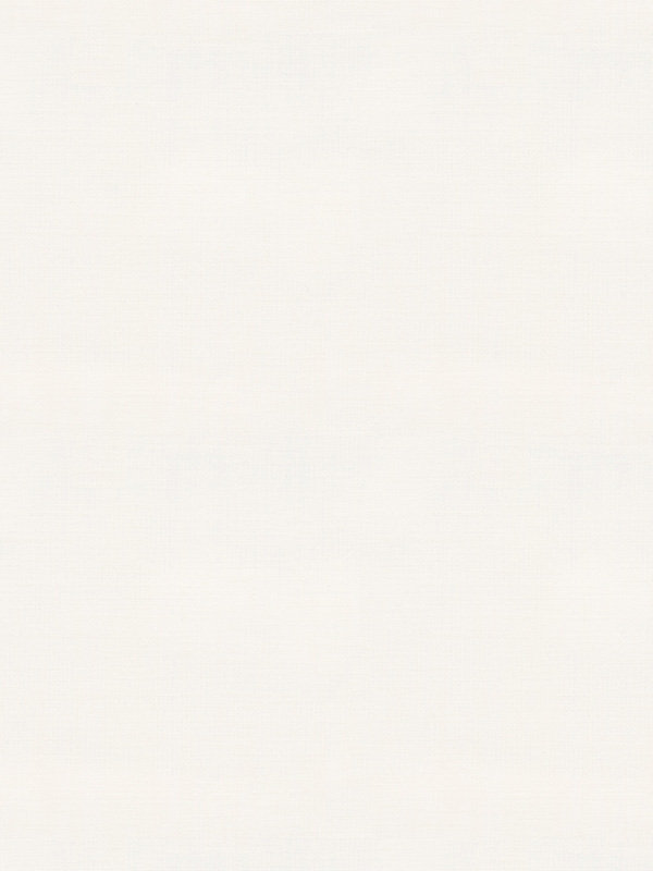 Detailansicht Rollo Texture Light 12.761