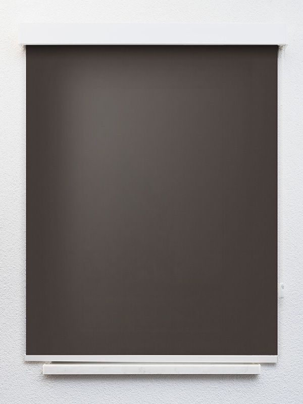 Detailansicht VD Rollo Skylight Reflex 50.391