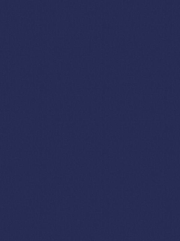 Detailansicht VD Rollo Skylight Reflex 85.391