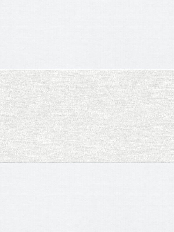 Detailansicht Doppelrollo Snow 00.132