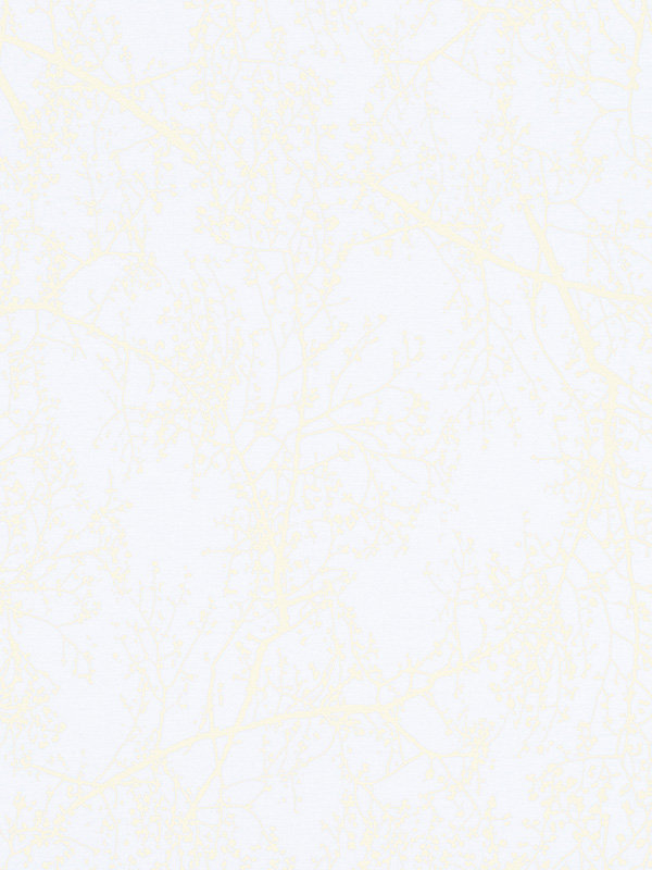 Detailansicht Rollo Modern Graphics 00.162