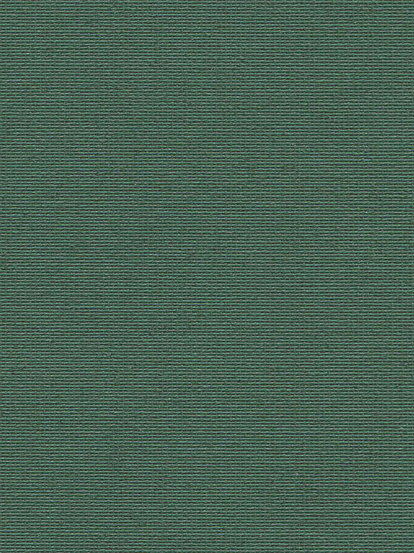 Detailansicht Lameiro Blackout 19.72d