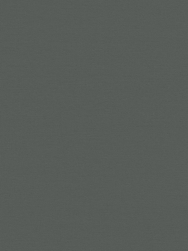 Detailansicht Rollo Albus 20.603