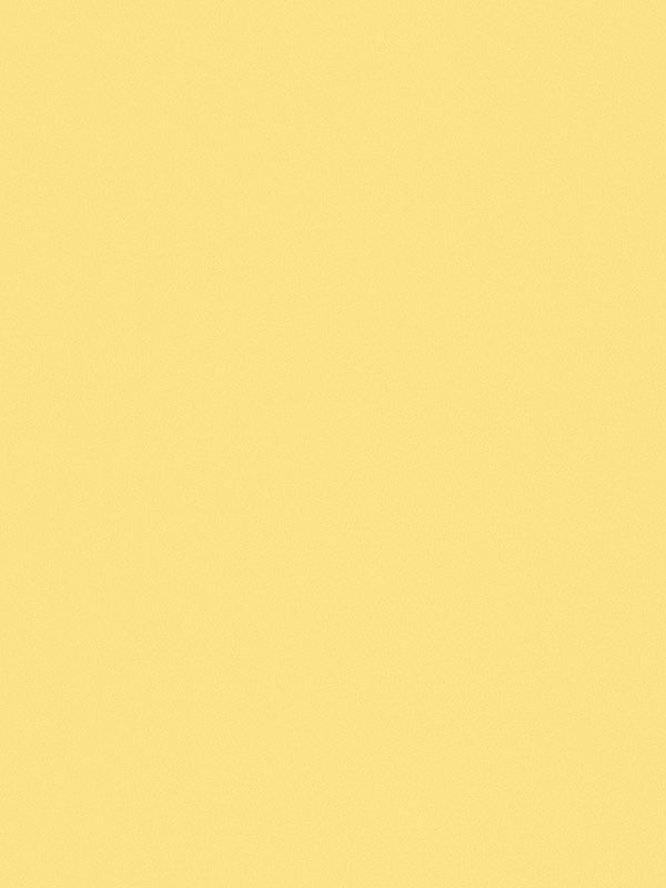 Detailansicht VD Rollo Simple Elegance 32.563