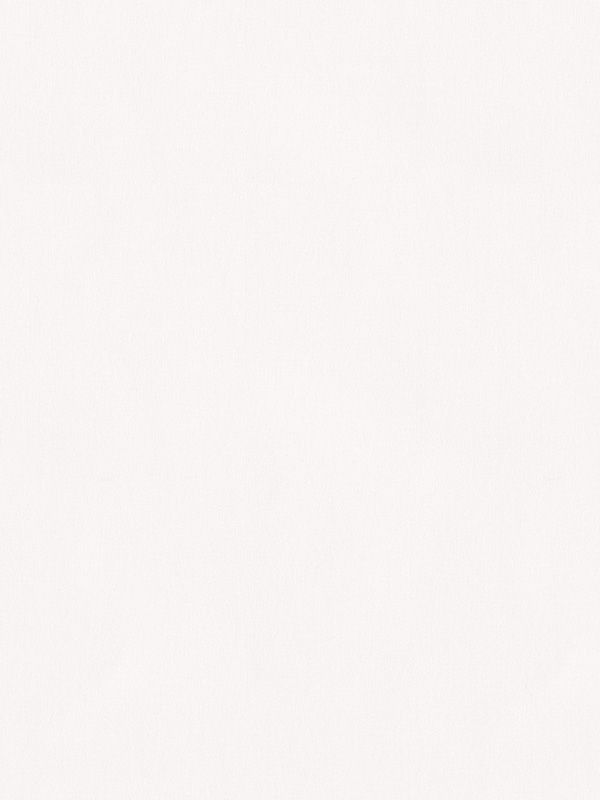 Detailansicht Rollo Trevira Basic 12.814