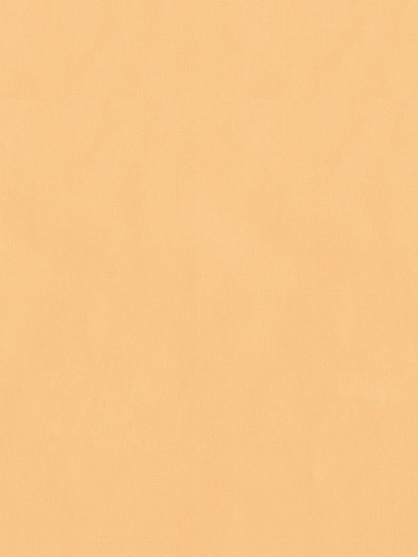 Detailansicht Rollo Trevira Basic 52.814