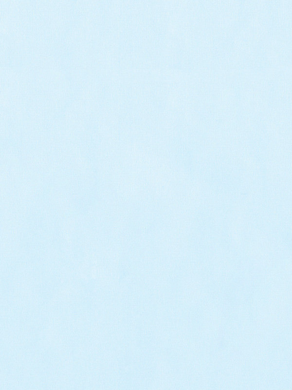 Detailansicht Rollo Trevira Basic 36.814