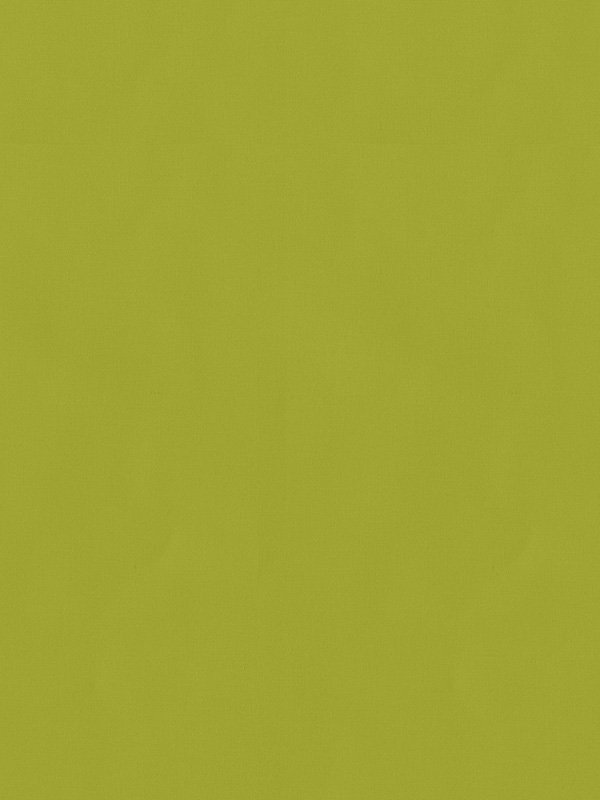 Detailansicht Rollo Trevira Basic 98.814