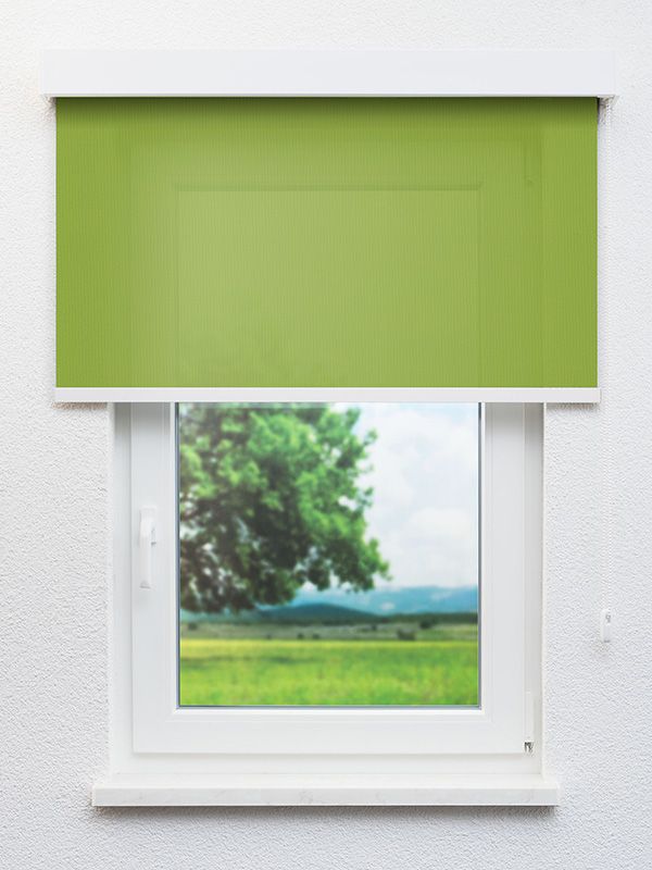 Detailansicht Rollo Calm Life 98.024