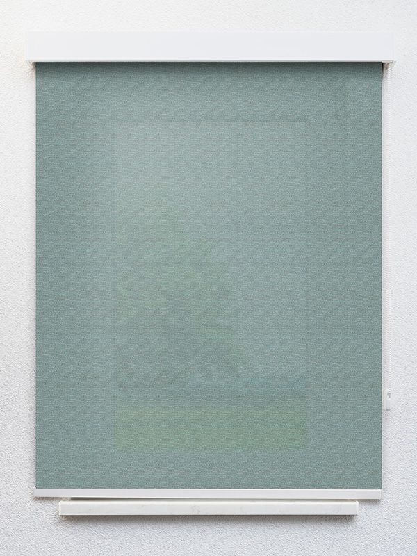 Detailansicht Rollo Fine Structure 18.685