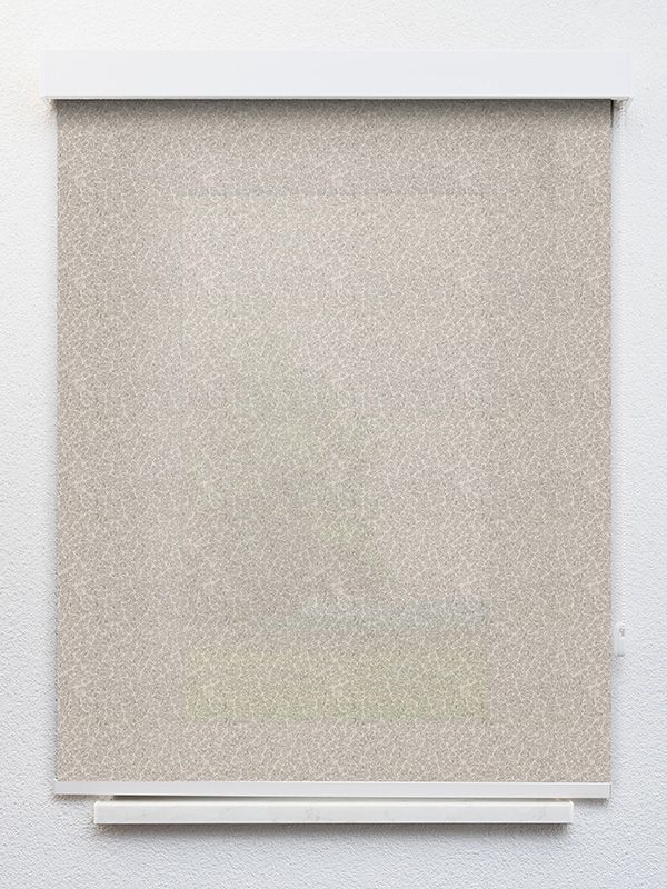 Detailansicht Rollo Small Plants 21.386