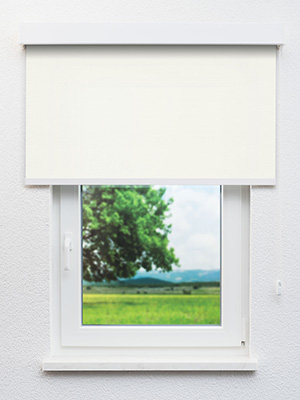 Preview Rollo Molly 12.278 2