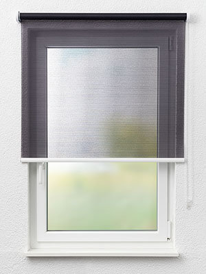 Rollo Trans Stripe 40.010 Fensteransicht
