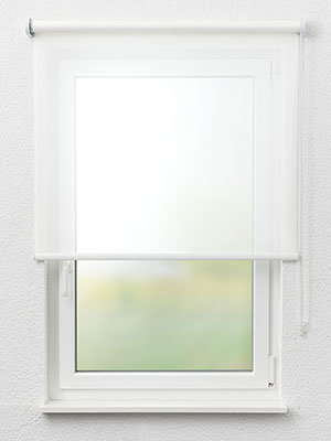 Rollo Trans Stripe 12.010 Fensteransicht