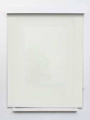 Preview Rollo Julia 30.040 1