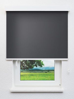 Rollo Julia 40.040 Fensteransicht