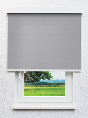 Rollo Julia 70.040 Fensteransicht