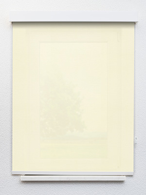 Preview Rollo Julia 71.040 1