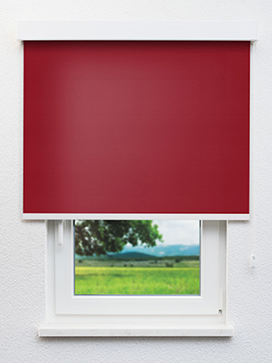 Rollo Julia 23.040 Fensteransicht