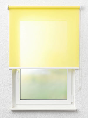 Rollo Shine 42.440 Fensteransicht