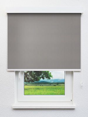 Rollo Daily Uni 10.850 Fensteransicht