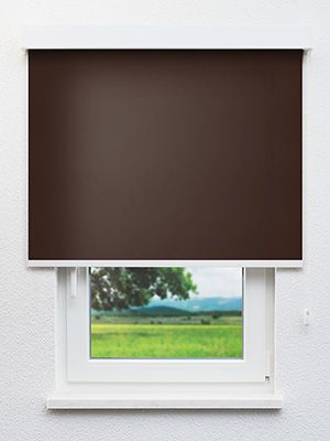 Rollo Daily Uni 50.850 Fensteransicht